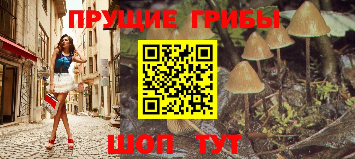 Псилоцибиновые грибы Psilocybine cubensis  Вход с VPN  Сунжа 